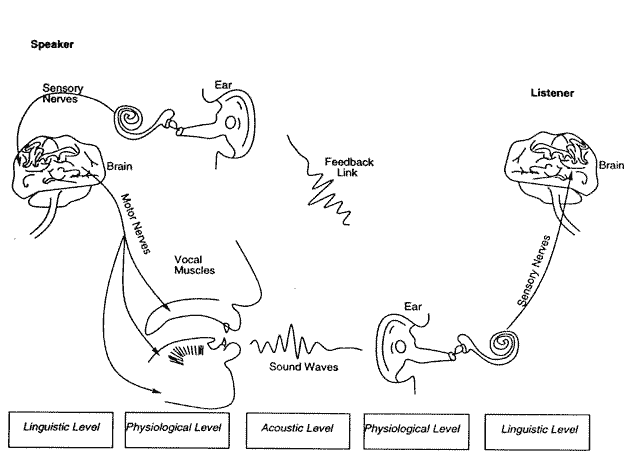 Figure-1.1 The speech chain